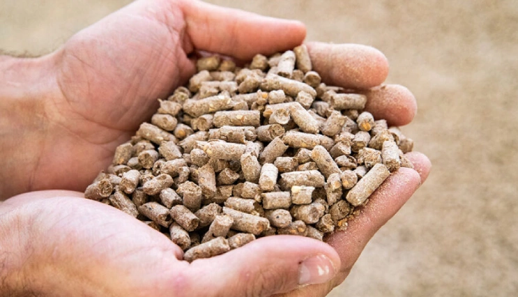 Animal feed 2