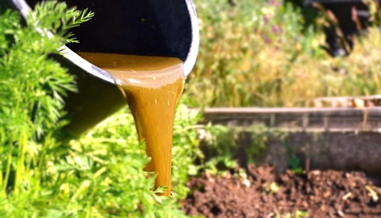 slurry or Solution of Organic and Inorganic material
