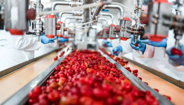 Food_Beverage_Processing