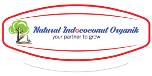 gemclient16_Nico