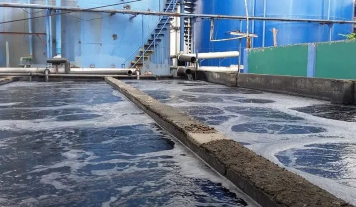 Etp Sludge Generated Molasses