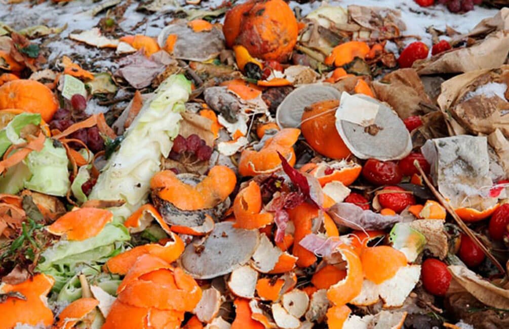 food-processing-waste