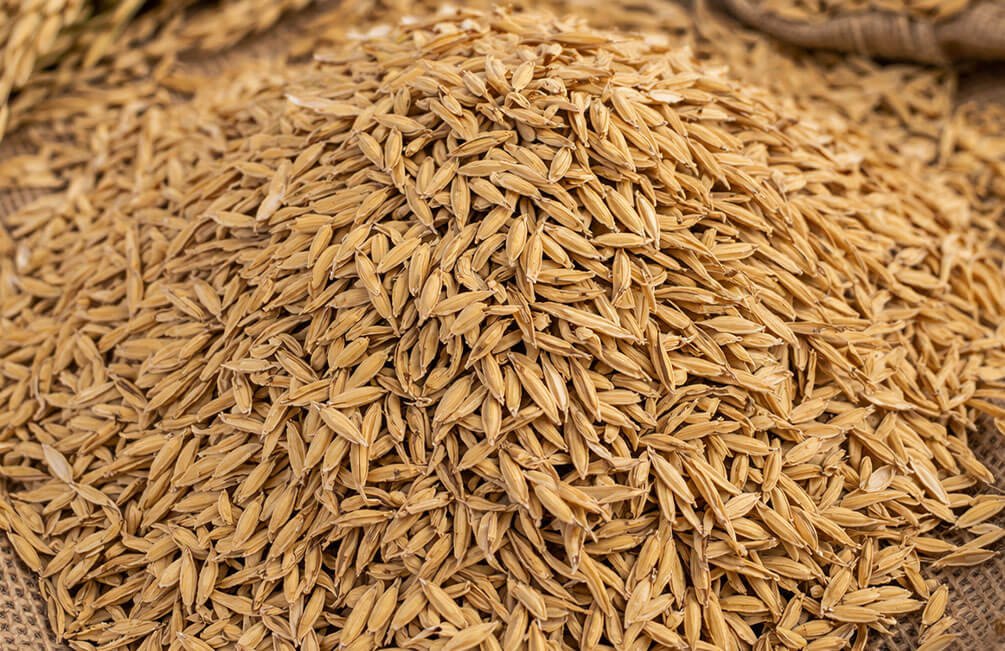 casca de arroz