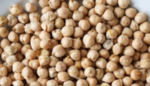 Chickpeas drying