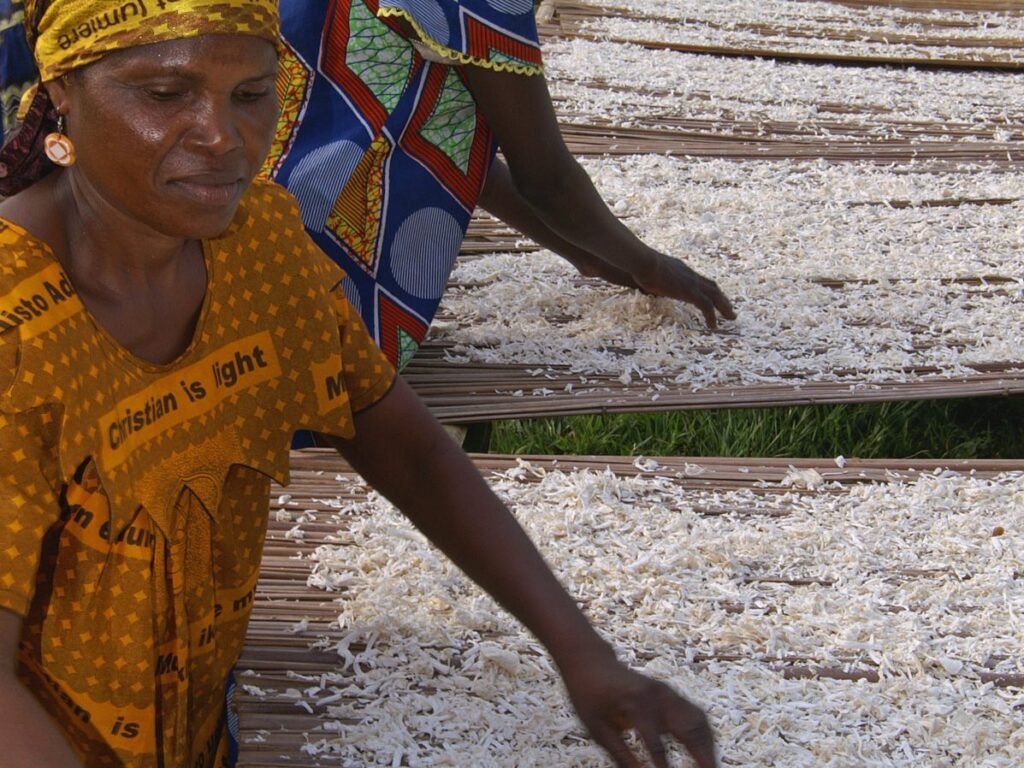 Cassava Chips drying with GEM Mesh Belt Dryer