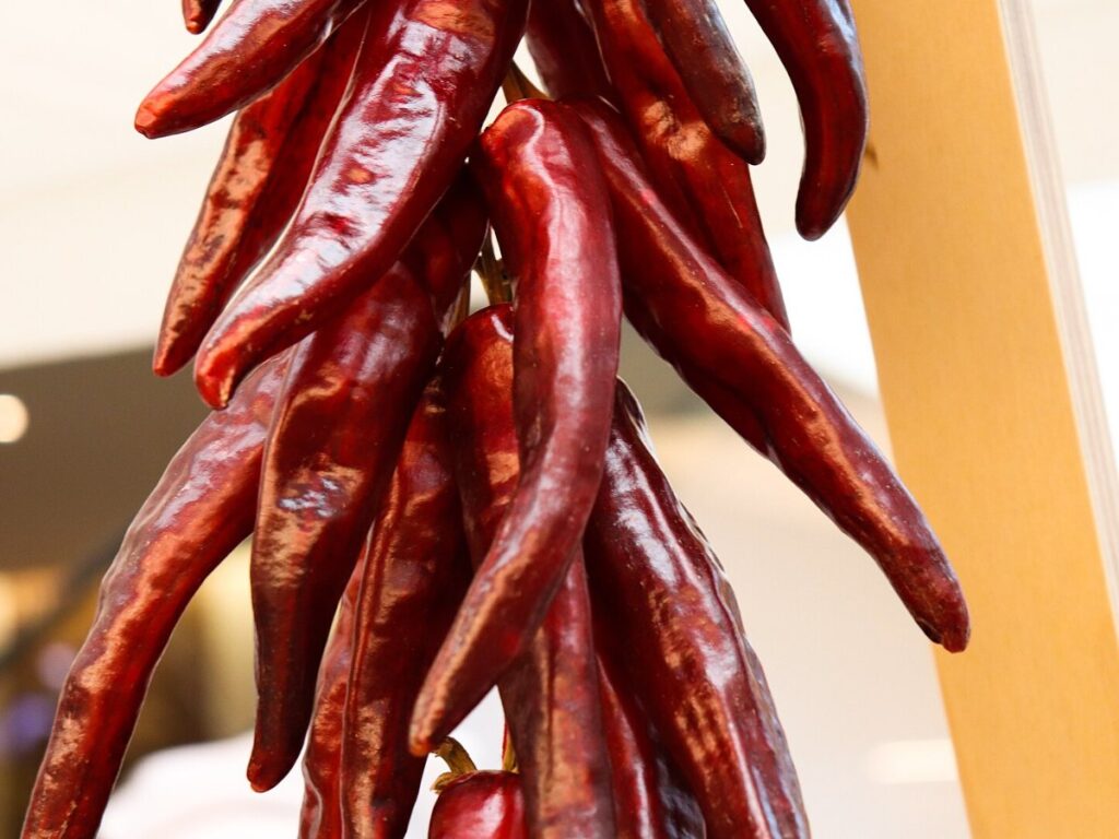 Chilli drying with GEM Multi-Pass Conveyor Dryer