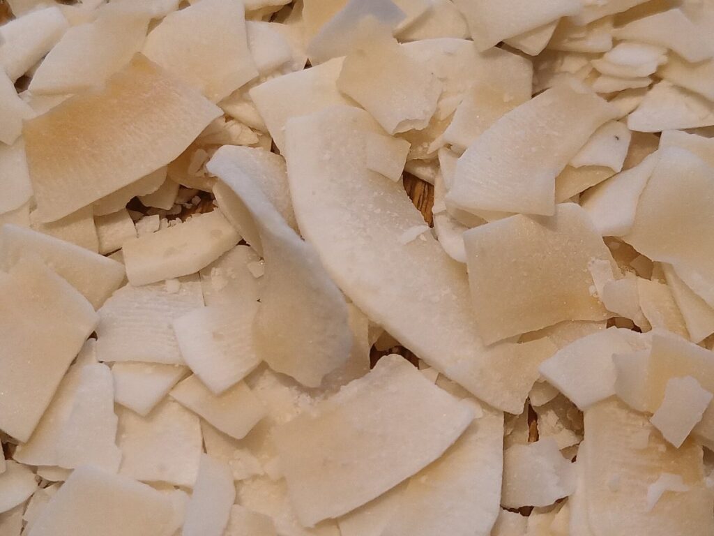 Coconut Chips and Flakes drying with GEM Band Dryer