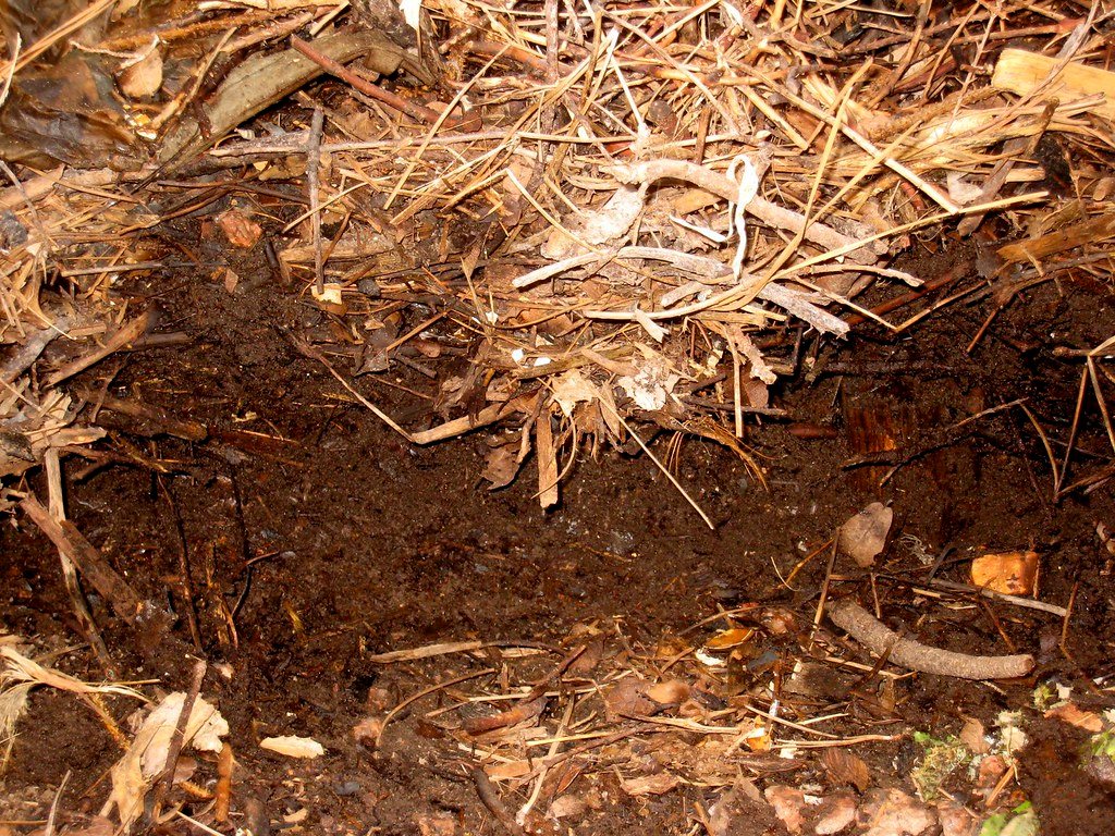 Compost and Vermicompost drying with GEM Mesh Belt Dryer
