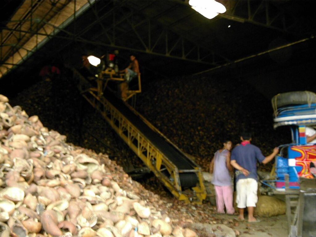 Copra drying with GEM Mesh Belt Dryer
