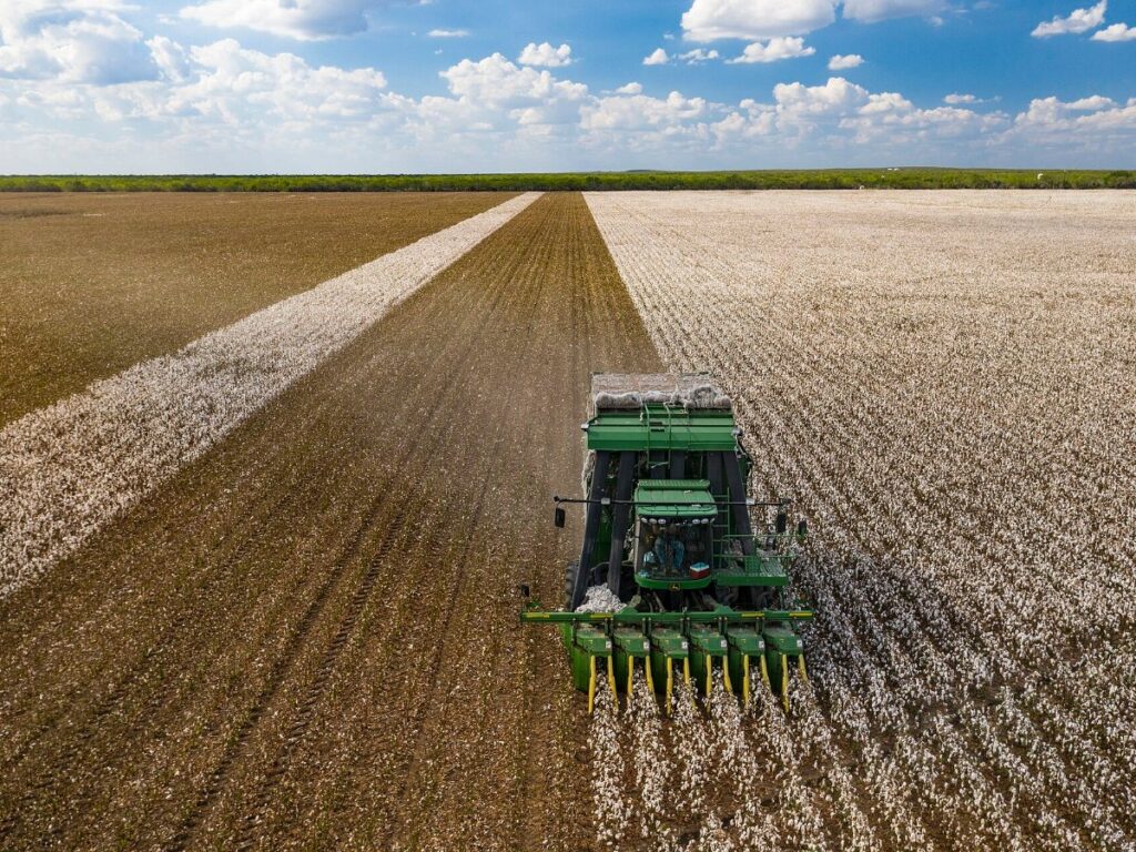 Cotton Stalk drying with GEM Rotary Dryer