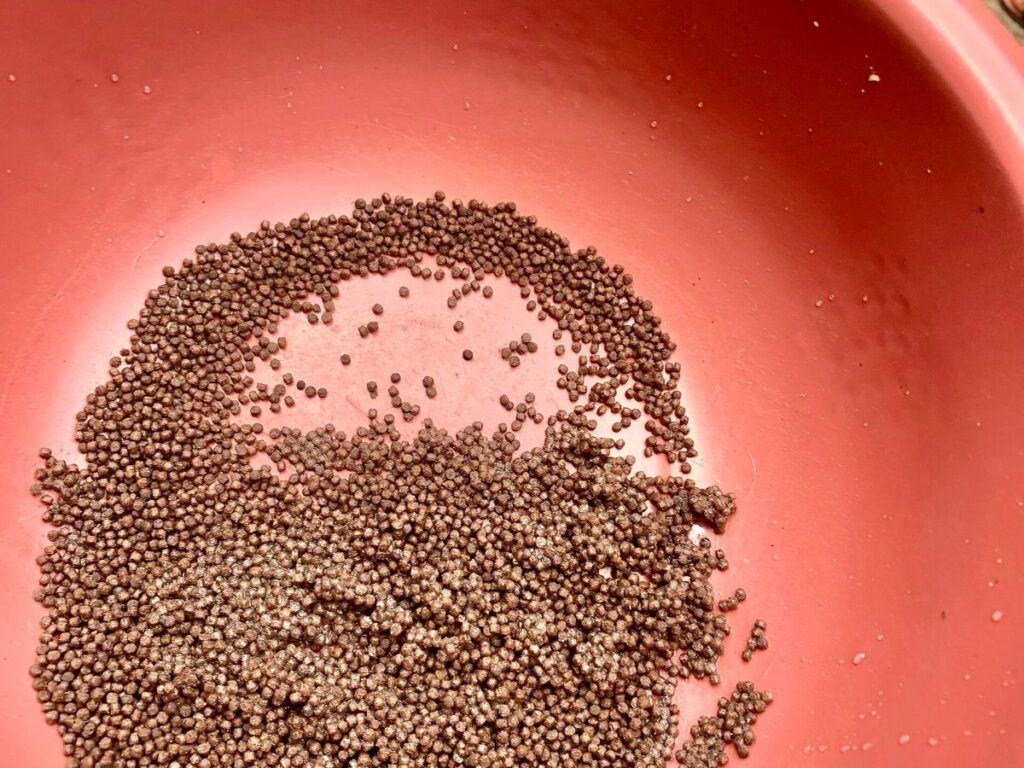 Hatchery Micro-Pellets drying with GEM Vibratory Fluid Bed Dryer