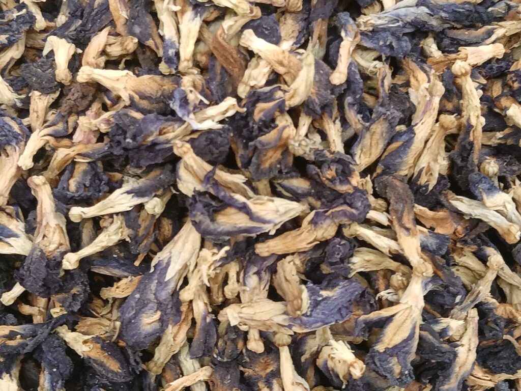 Herbal Flowers drying with GEM Single-Pass Conveyor Dryer