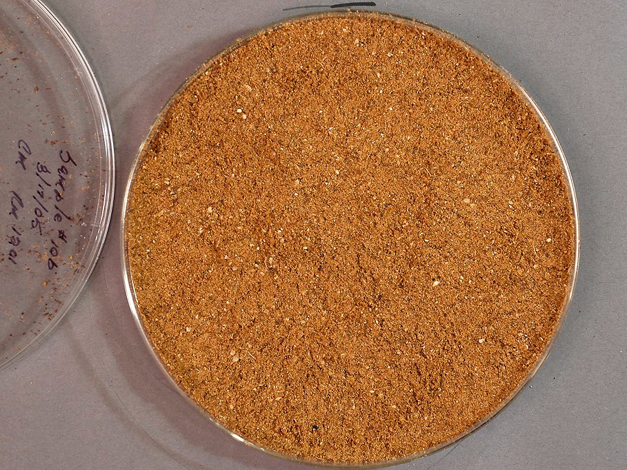 Rendered Meat and Bone Meal drying with GEM Paddle Dryer