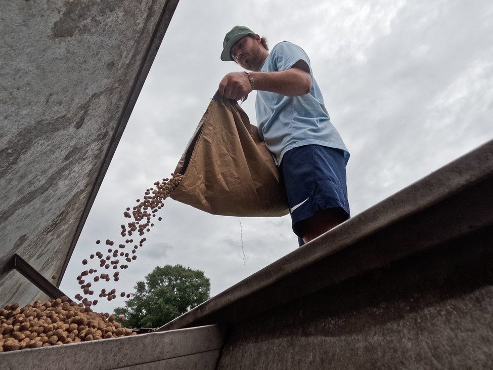 Salmon Feed drying with GEM Band Dryer