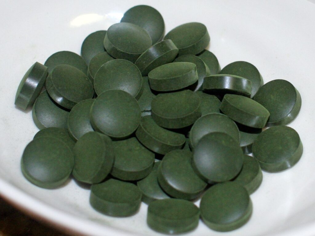 Spirulina drying with GEM Band Dryer