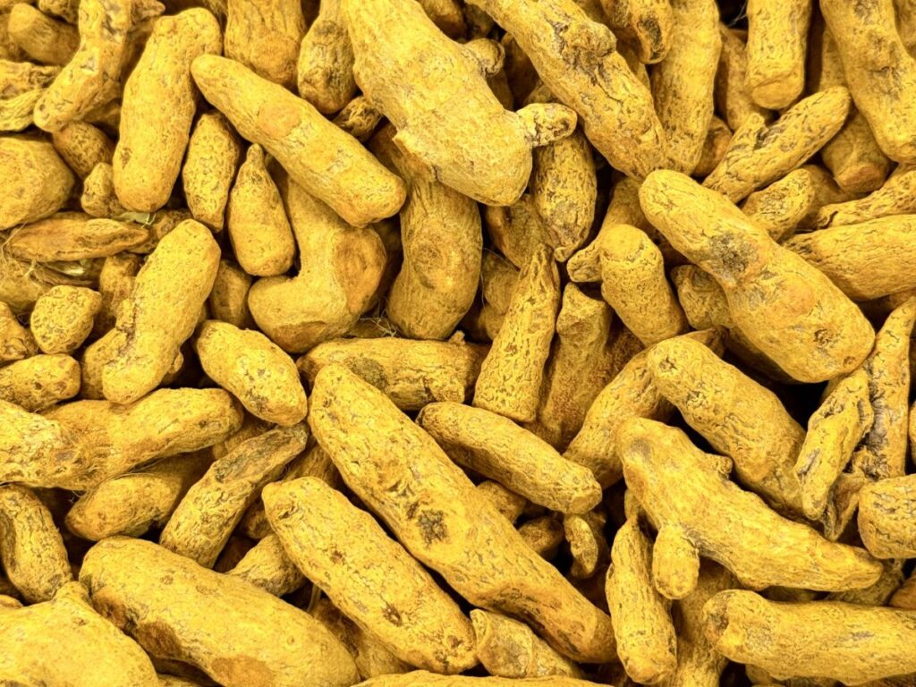 Turmeric drying with GEM Band Dryer