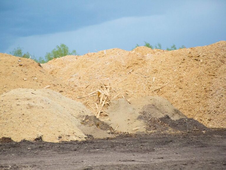 Biomass and Solid Fuel drying
