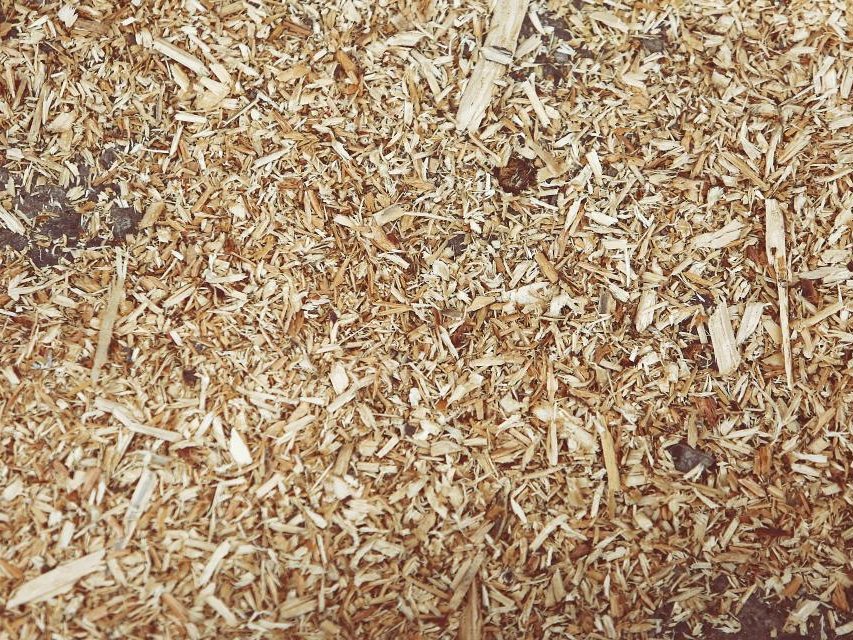 Wood Shavings drying with GEM Mesh Belt Dryer
